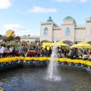 임실치즈골 은주네농장 이미지