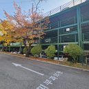 가톨릭피부과의원 | 피부과추천][거창피부과진료][대구피부과진료][피부과의원추천][가톨릭피부과의원] 241113 가톨릭...