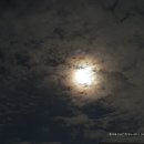 보름달부동산공인중개사사무소 이미지