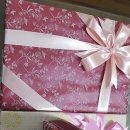 개 이쁜 애견미용샵 이미지