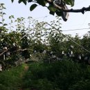 재규농장 이미지