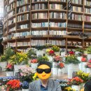 수목금프로젝트 이미지