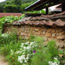 최씨네민박 이미지