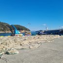 항도몽돌리조트