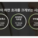 강남포유의원 이미지