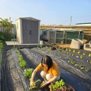 우농서원 이미지