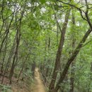 끌로뒤빵 이미지