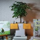 영원작은도서관 이미지