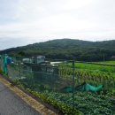 능원4리 이미지