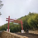 송죽정 본점 네이버블로그