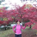 고양중학교 이미지