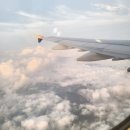 네오파니 | 인천공항 주차장 꿀팁 운서역 네오파킹 후기 버터플라이시티, 타다 임산부 쿠폰 할인 혜택