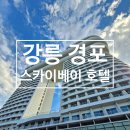 경포PC | 강릉 경포 스카이베이 호텔 인피니티 풀 내 돈 내산 후기