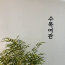 강릉 혼여행 숙소 추천 - 게스트하우스 수목여관 내돈내산 후기