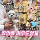 아무도없개 | 장안동 애견간식 무인간식점 아무도없개 솔직 방문후기