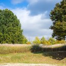 억새풀농장 이미지