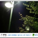 노송동 주민센터 | 전주의 추억...전주 노송동 얼굴없는 천사 이야기