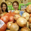 양파수산