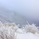 아름다운날 Daum카페