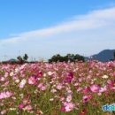워커힐7080라이브 네이버블로그