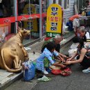 정남진마트
