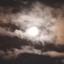 강산슈퍼 이미지