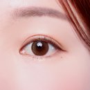 호호렌즈 네이버블로그