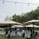 나이스카 | 장범준 버스카버스카 원주 day2 후기
