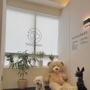 위드온 반려견 교육센터 | 대구 강아지교육센터 도그웨이반려견학교