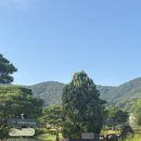 보라컨트리클럽 | &lt;경북 골프장&gt; 울산 보라CC 라운딩 솔직 후기