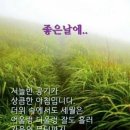설레는아침