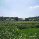 영통로61번길 이미지