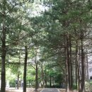 예술조형물(솔안공원 이미지