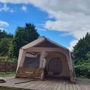 애견1번지 이미지