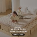 이조라이브
