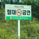 오창농협주유소 이미지