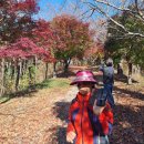 해뜨는 언덕 이미지