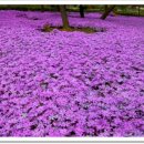 원연장마을 이미지