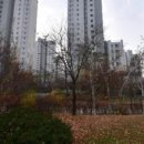 한스디자인 네이버블로그