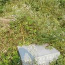 광시면010 이미지