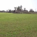 제주토지공인중개사사무소 이미지