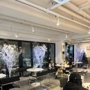 퍼스트커피랩 범어점 | 강남역 예쁜 카페 추천! 퍼스트커피랩 강남점 후기