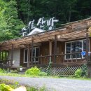 스테이 다연 이미지