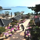 해신완도