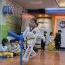 미산태권도 이미지