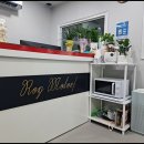 로이모터스 이미지