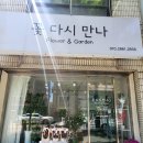 꽃다시만나
