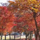 🌍죽림지투🌍스마트폰은 꺼졌지만 대화는 켜진 값진 시간이었던 동해반 유나의 &#39;아무것도 사지 않는 날&#39; 이미지