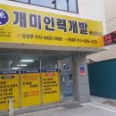 개미인력천안