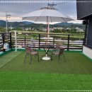 봉평메밀숲 이미지